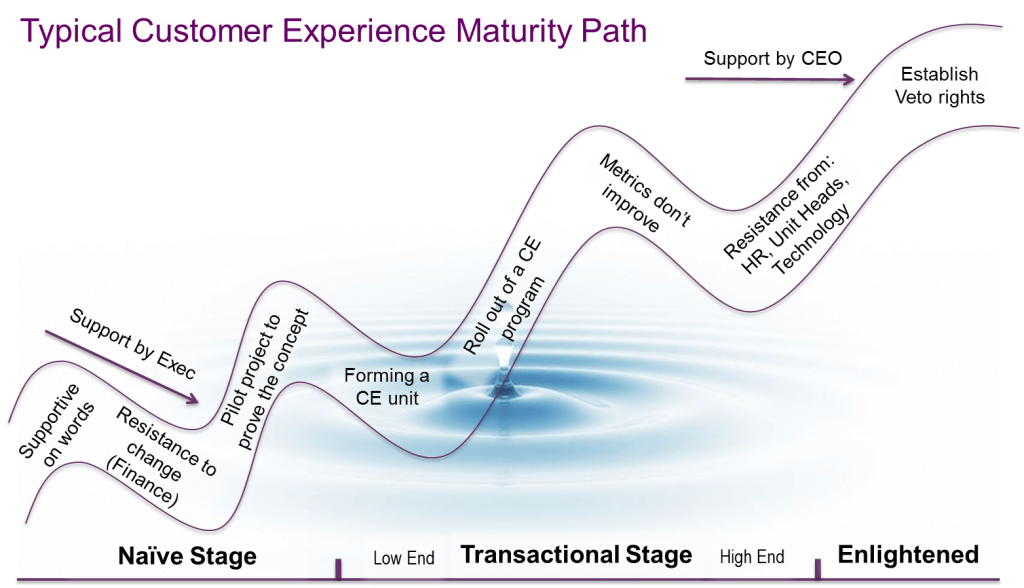 Customer Experience Governance Approaches & Maturity Stages